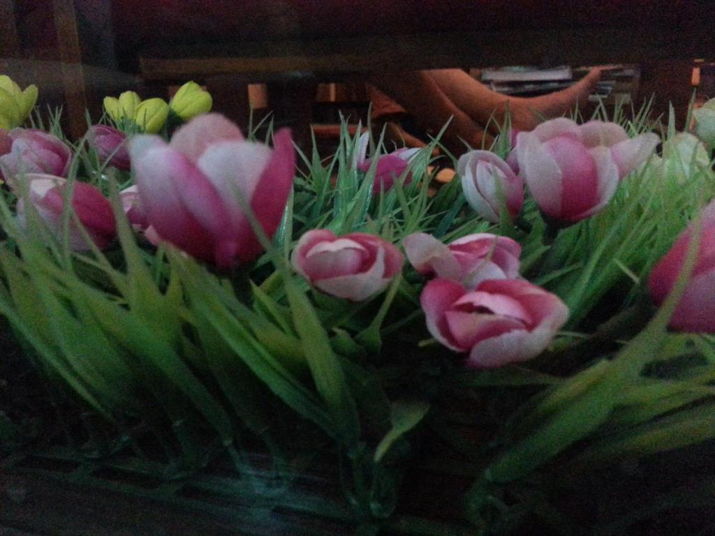 Pink Tulip Hotel Хошимин Екстериор снимка